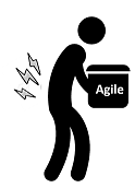 Inadequate Experience with Agile