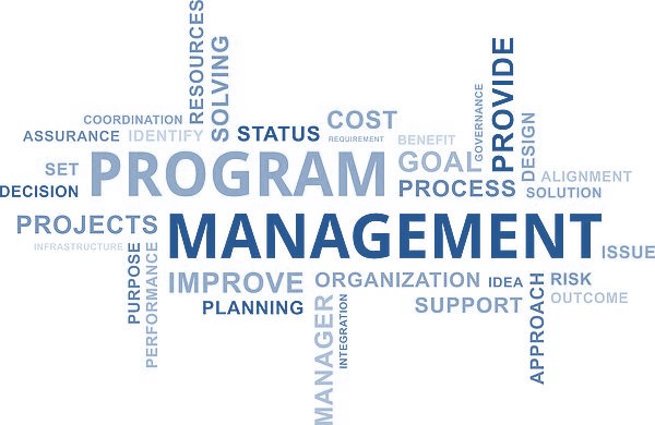 Word cloud highlighting the term 'Program Management'